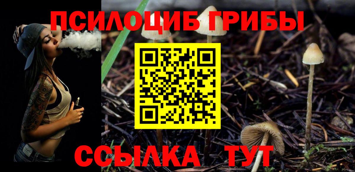 Котлас  Псилоцибиновые грибы прущие грибы  Вход с VPN  Галлюциногенные грибы Cubensis 