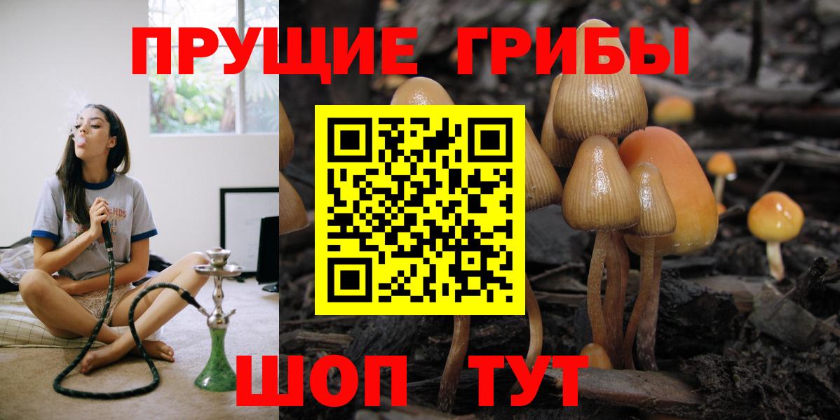 Псилоцибиновые грибы Cubensis Котлас